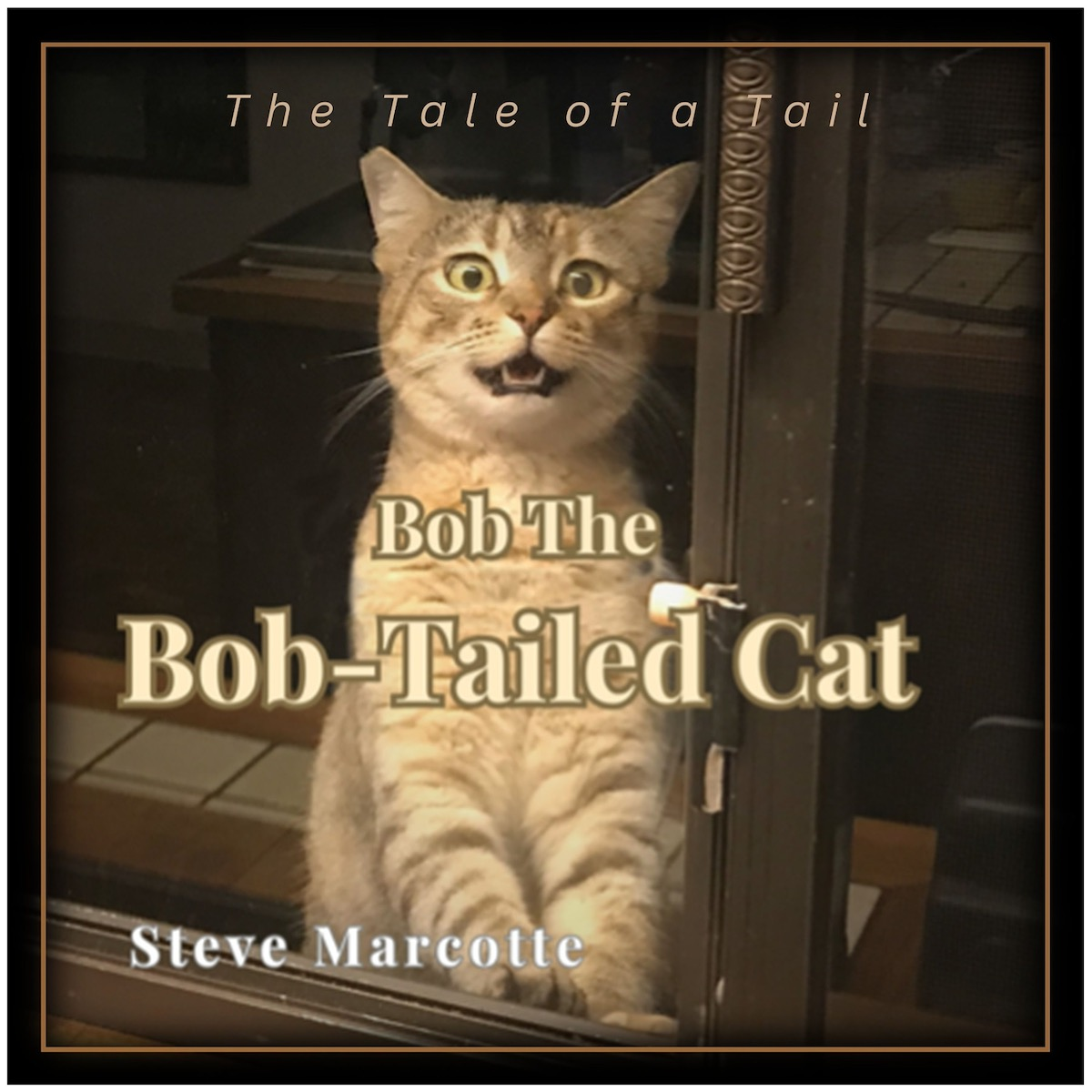 Bob The Bob-Tailed Cat — A Tale of a Tail