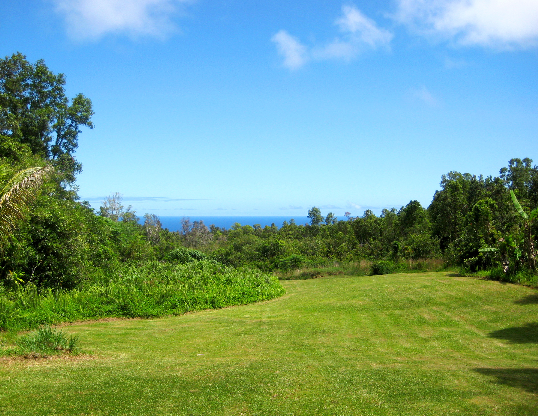 Bob's yard in Leilani, Big Island Hawaii